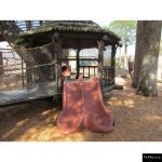 The 4 Kids - Log Racing Slide