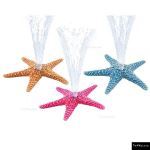 The 4 Kids - Starfish
