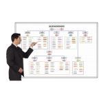 Magnatag Visible Systems - MagnaStaffer® Magnetic Organizational Chart Systems Whiteboards