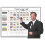 Magnatag Visible Systems - Project Milestones Tracker® Magnetic Dry-erase Whiteboard System