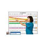 Magnatag Visible Systems - O.R. Surgery Schedule Magnetic Dry-Erase Hospital Whiteboard Systems