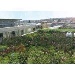 Atlantis Corporation - Roof Garden - Reduces Stormwater Runoff and Releases Clean Water