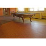 Dinoflex - Indoor Recycled Rubber Surfacing - Evolution Commercial Flooring