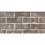 General Shale - Columbus Brick (MS) - Phenix City Collection (AL) - Mosswood Queen