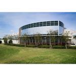 Avery Dennison - Neutral Interior Window Films