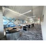 USG - Paraline® Plus Linear Metal Systems