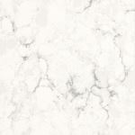 Floor & Decor - Sample - Forte Quartz Custom Countertop