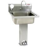 Terra Universal - Pedestal Sink; USP 797, 304 Stainless Steel, Foot Pedal, Eagle
