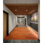 Rockfon - Rockfon® Infinity™ Engineered Perimeter Trim