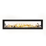 Napoleon - Luxuria™ 74 See Through Direct Vent Gas Fireplace