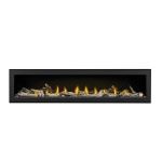 Napoleon - Vector™ 74 Direct Vent Gas Fireplace