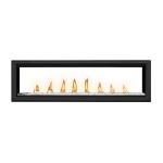 Napoleon - Vector™ 62 See Through Direct Vent Gas Fireplace