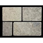 Metro Brick & Stone Co. - Fossil Saw Cut Dimensional Honed Limestone ** In Stock ** Stone