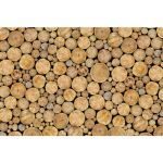 Decorative Ceiling Tiles - LumiSplash Graphic Panel