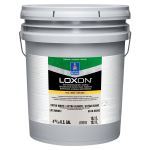 Sherwin-Williams Company - LOXON Self-Cleaning Acrylic Coating