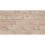 The Belden Brick Company - Belcrest 600 Bricks