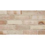 The Belden Brick Company - Belcrest 650 Bricks