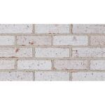 The Belden Brick Company - Frosted Whites Bricks