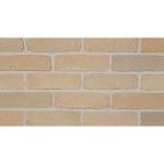The Belden Brick Company - Lakeshore Blend Bricks