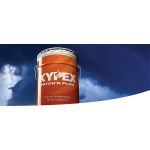 Xypex Chemical Corporation - Patch'n Plug Hydraulic Cement Compound