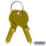 Salsbury Industries - Locks and Key Blanks - Model # 3399