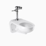Sloan® - WETS-2453.1010 ST-2459 Water Closet and SLOAN 111 Flushometer