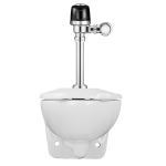 Sloan® - WETS-2450.1412 ST-2459 Water Closet and SLOAN 8111 Flushometer