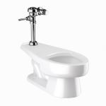 Sloan® - WETS-2300.1010 ST-2309 Water Closet and SLOAN 111 Flushometer