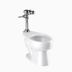 Sloan® - WETS-2023.1010 ST-2029 Water Closet and SLOAN 111 Flushometer