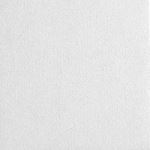 Armstrong World Industries, Inc. - CALLA TEMPLOK: 2825TEMP