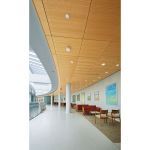 Armstrong World Industries, Inc. - SINGLESPAN Acoustical Corridor System