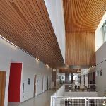 Acoustical Surfaces, Inc. - Linear Wood Ceiling and Wall System
