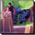 Acoustical Surfaces, Inc. - Noise S.T.O.P™ Custom Graphic Acoustic Wall Systems