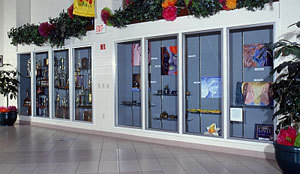 Display and Trophy Cases