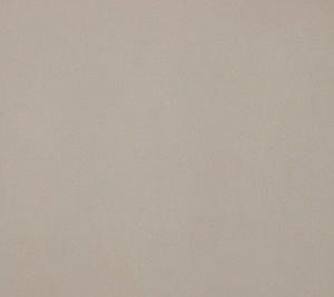 Porcelain Tile - Beige CG Architecture - Matte