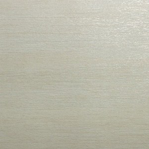 Porcelain Tile - Iridio CG Metalwood - Matte