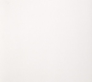 Porcelain Tile - White CG Architecture - Matte