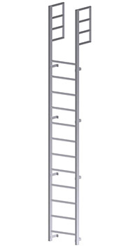 Roof Access Vertical Ladder - U201