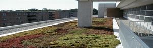Vegetated Green Roof Systems (Parapro)