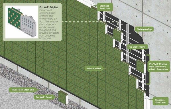 Зеленый чертеж. Зеленый фасад схема. Зеленый фасад мох схема. Панели Prowall основа. Схема конструкция зеленого фасада Мах.