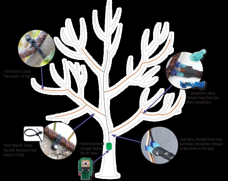 TreeShock™ Electified Tree Protector Bird Barrier America, Inc. Sweets
