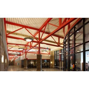 Epicore Roof and Floor Deck Ceiling Systems – Epic Metals - Sweets