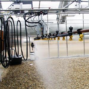 System trading corporation greenhouse