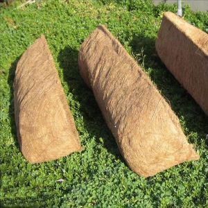 135_1_1_1_1_1_1_defaultImage.jpg image