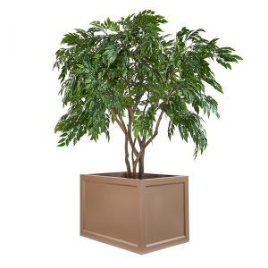 4_1_1_1_1_1_1_defaultImage.jpg image