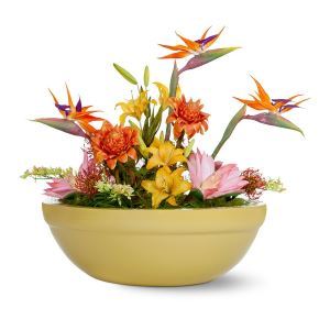 8_1_1_1_1_1_1_defaultImage.jpg image