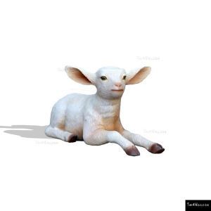 367_defaultImage.jpg image