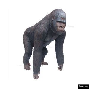 414_defaultImage.jpg image