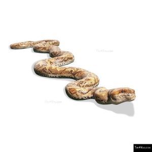 Python Play Sculpture – The 4 Kids - Sweets