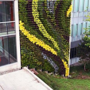Versa Wall Xt Exterior Living Green Gsky Plant Systems Inc Gsky Plant Systems Inc Versa Wall Xt Exterior Living Green